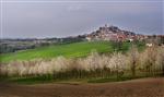 monferrato